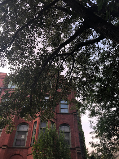 Community Center «Sixth Street Community Center», reviews and photos, 638 E 6th St, New York, NY 10009, USA