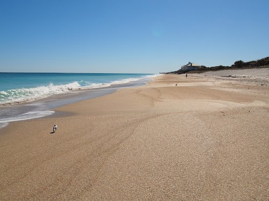 Golden Sands