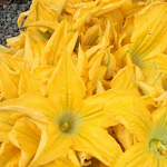 Photo n°1 de l'avis de Oreste.a fait le 19/10/2021 à 06:19 sur le  Miramonti Panuozzeria &Pizzeria f.lli MANZI à Gragnano