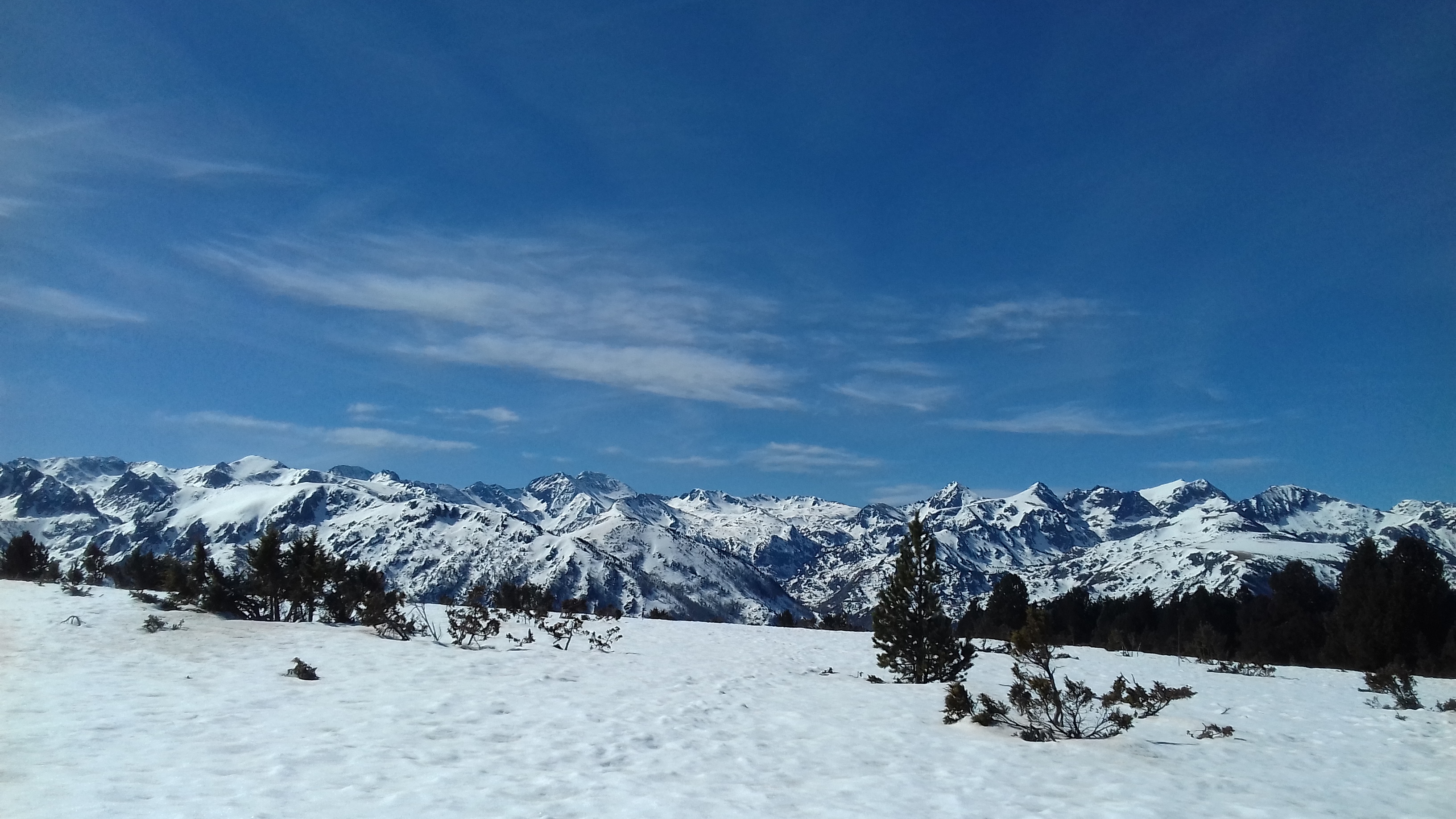 Photo n° 2 de l'avis de A.i fait le 10/03/2019 à 18:34