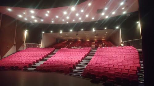 Espace culturel Capellia à La Chapelle-sur-Erdre