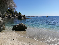 Foto di Plage des Darboussieres con più baie spaziose