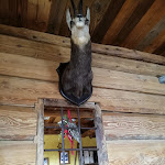 Photo n°4 de l'avis de Armando.i fait le 06/02/2022 à 12:45 sur le  Punta Jolanda à Gressoney-La-Trinité