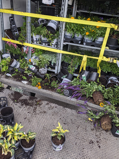 Department Store «Walmart Supercenter», reviews and photos, 300 Iowa Speedway Dr, Newton, IA 50208, USA