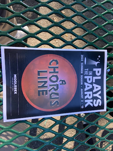 Performing Arts Theater «Plays-In-The-Park», reviews and photos, 1 Pine Dr, Edison, NJ 08837, USA