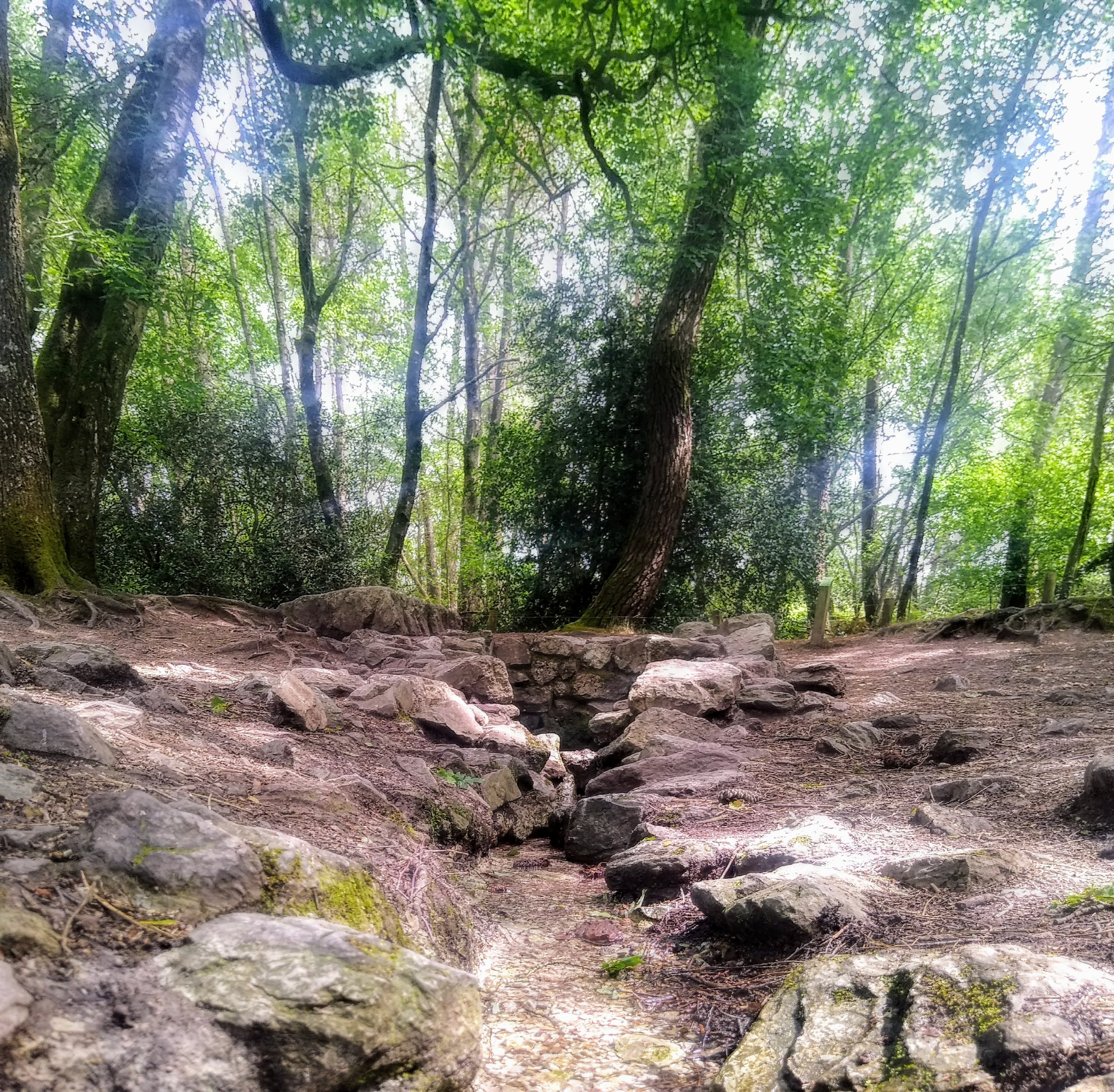 Photo n° 1 de l'avis de Stéphane.e fait le 20/06/2023 à 16:49
