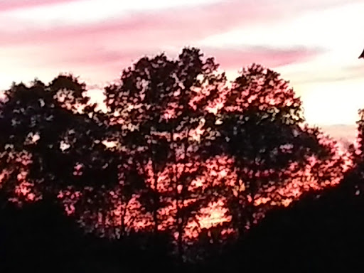 Winery «Mastropietro Winery», reviews and photos, 14558 Ellsworth Rd, Berlin Center, OH 44401, USA