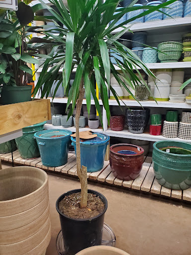 Florist «Metropolitan Plant & Flower», reviews and photos, 840 NJ-17, Paramus, NJ 07652, USA