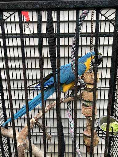 Melinda's Exotic Pets