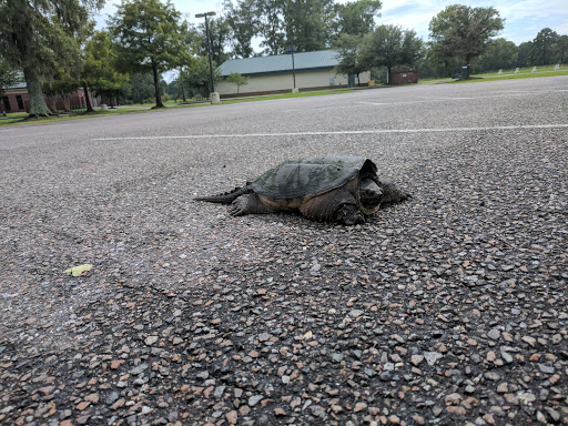 Golf Course «Wrenwoods Golf Course», reviews and photos, 100 Kiawah Loop, Joint Base Charleston, SC 29404, USA