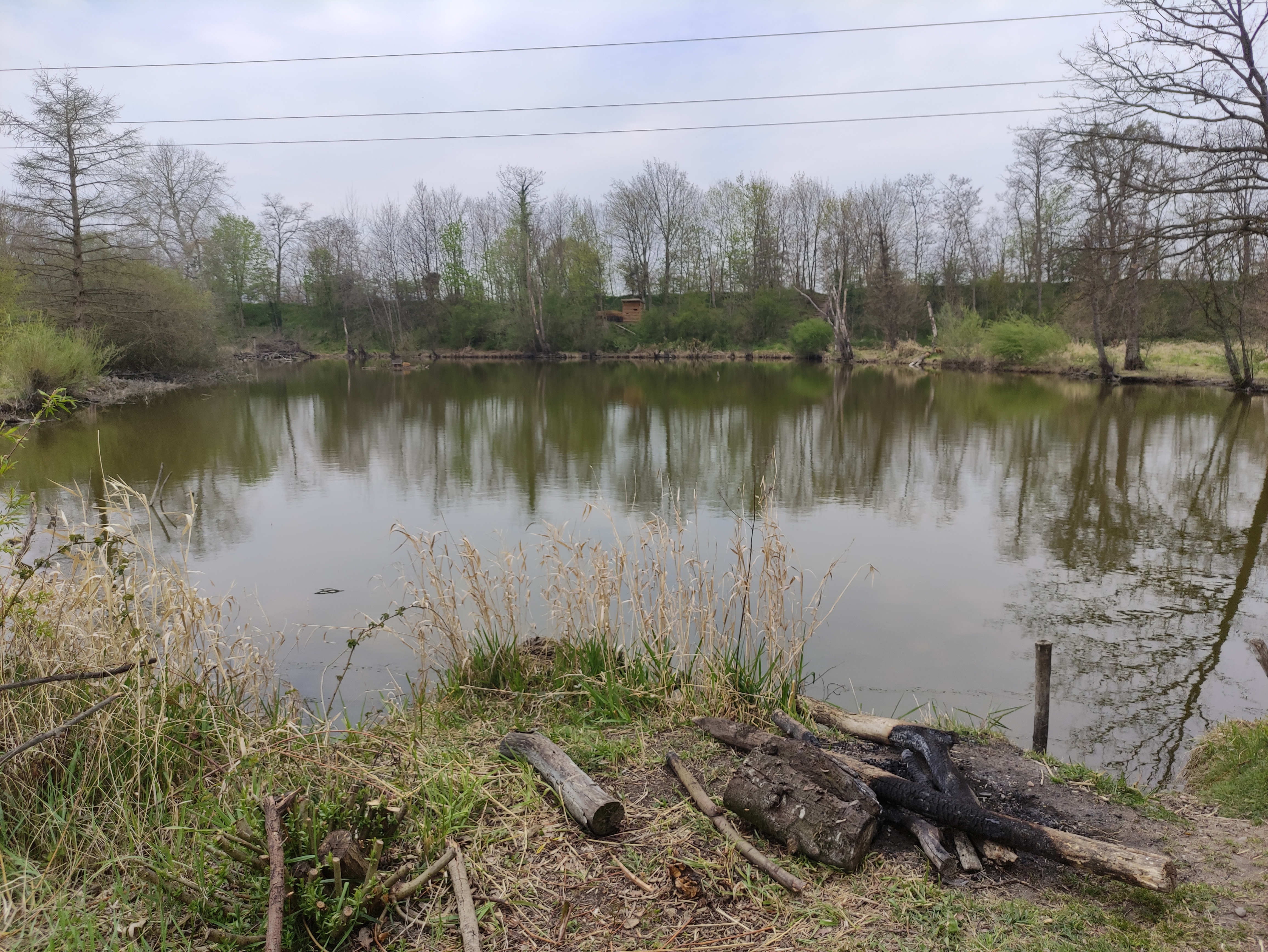 Photo n° 6 de l'avis de Yannick.o fait le 19/04/2021 à 11:43