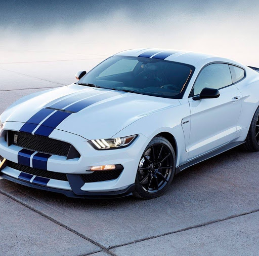 Used Car Dealer «Chase Auto Group», reviews and photos, 1733 E Gun Hill Rd, Bronx, NY 10469, USA