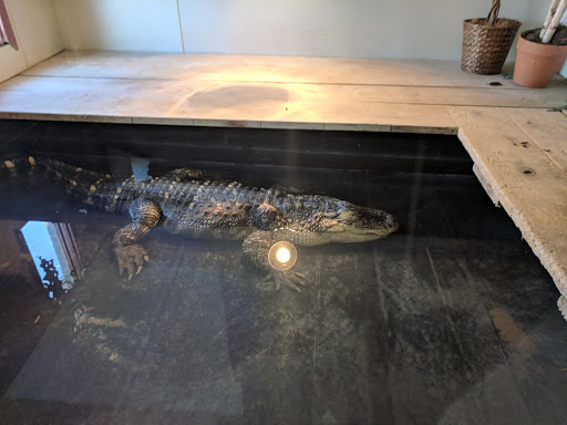 Pet Store «Night Stalkers Pet Emporium», reviews and photos, 5008 Madison Ave, Anderson, IN 46013, USA