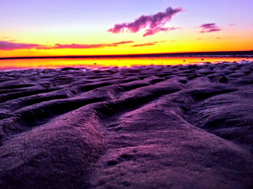 Nature Preserve «San Carlos Bay - Bunche Beach Preserve», reviews and photos, 18201 John Morris Rd, Fort Myers, FL 33908, USA