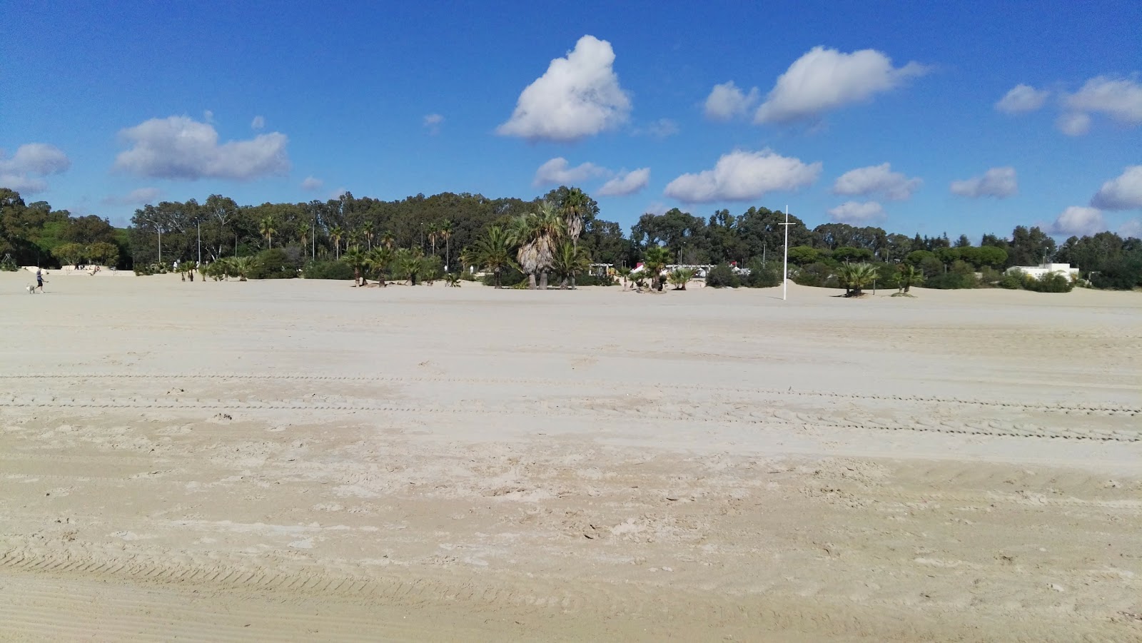 Playa de la Puntilla photo #8