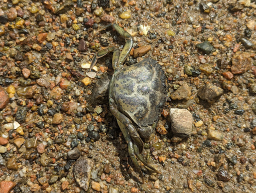 Park «Obear Park», reviews and photos, 145 Livingstone Ave, Beverly, MA 01915, USA