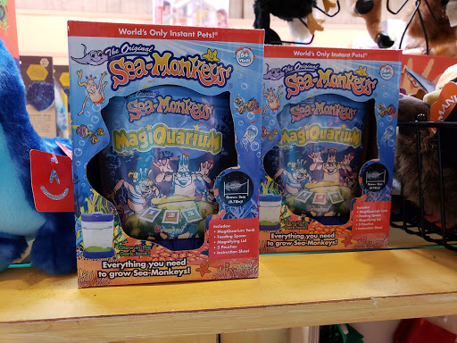 Toy Store «Alakazam Toys & Gifts», reviews and photos, 100 E Main St, Charlottesville, VA 22902, USA