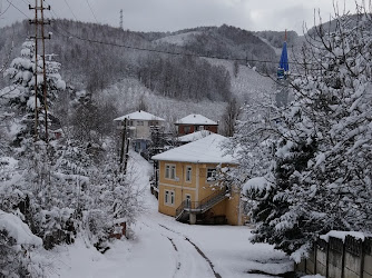 Çamlıpınar Köyü Muhtarlığı