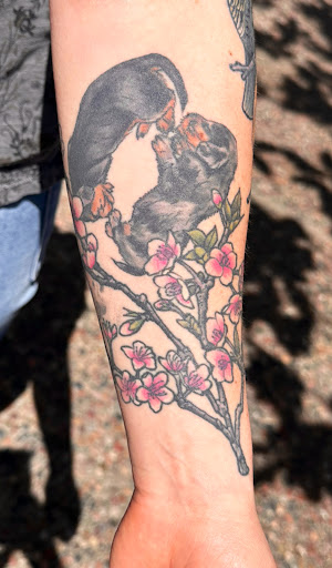 Explore vet tattoo ideas, creative tattoo ideas in Eureka, available at Bohemian Tattoo