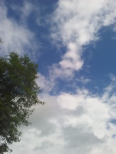 Park «Island Park», reviews and photos, 200 W B St, Springfield, OR 97477, USA