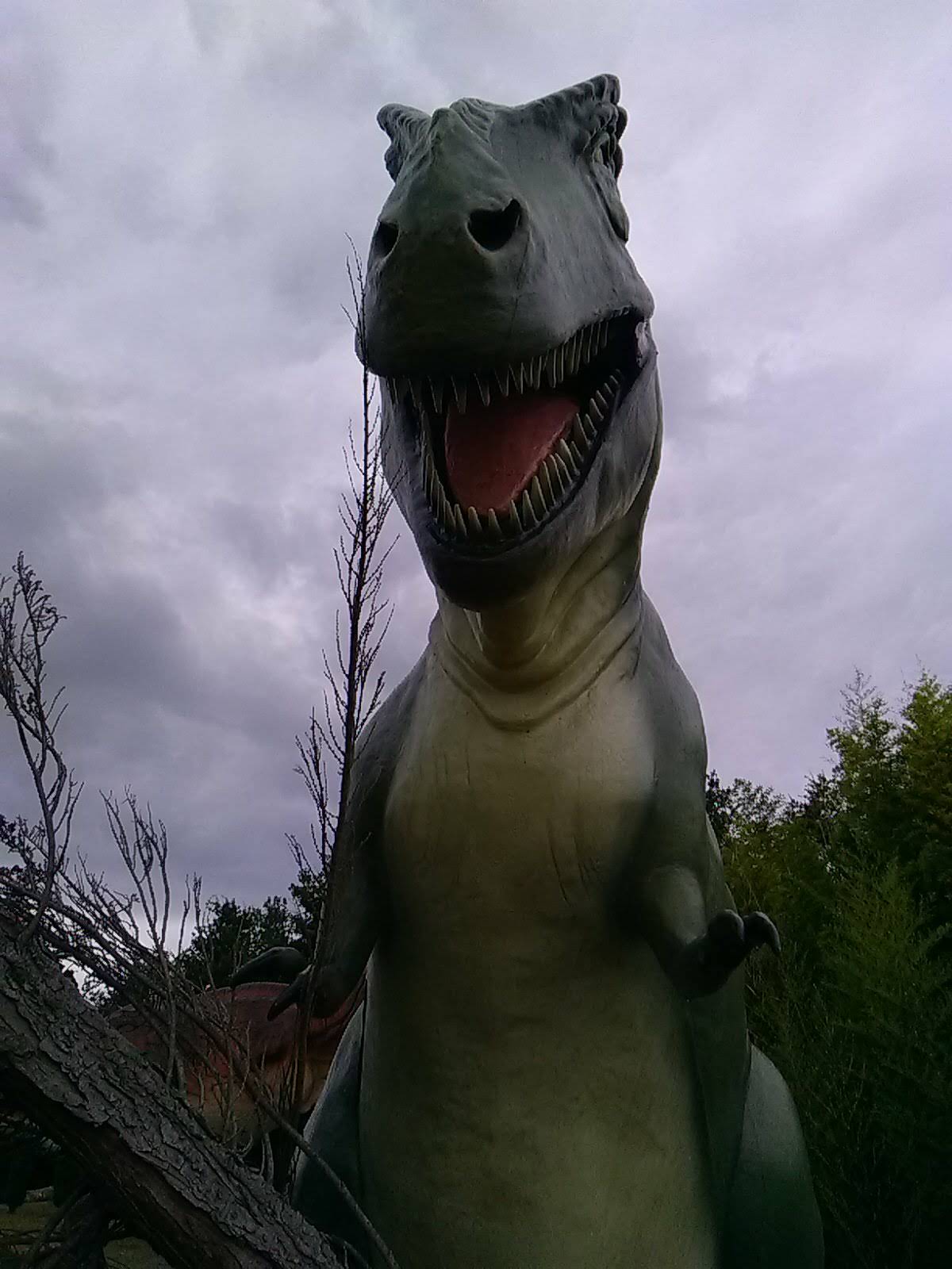 Photo n° 17 de l'avis de olivier.e fait le 15/07/2020 à 10:28