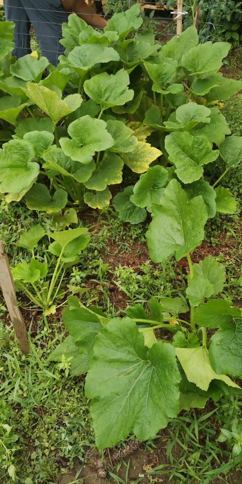 Photo n° 2 de l'avis de Amandine.. fait le 15/07/2018 à 10:04