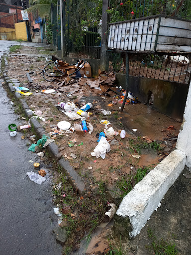 Serviço de coleta de lixo Manaus