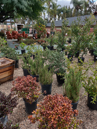 Flowerdale Nurseries