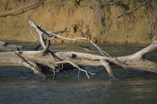 Nature Preserve «LLELA Nature Preserve», reviews and photos, 201 E Jones St, Lewisville, TX 75057, USA
