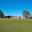 Waverley Park