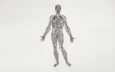 English Osteopath in Toulon à Toulon