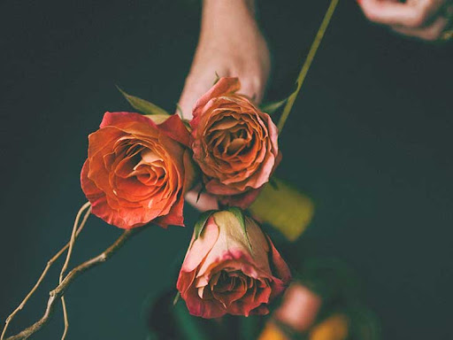 Funeral Home «Gary Panoch Funeral Home», reviews and photos, 6140 N Federal Hwy, Boca Raton, FL 33487, USA