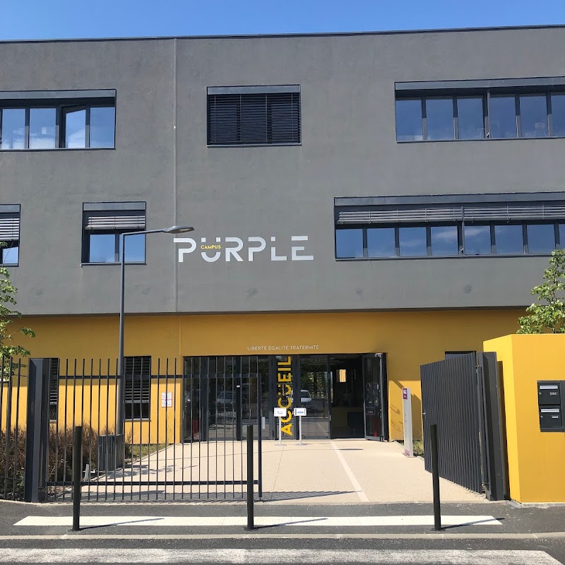 Purple Campus Carcassonne
