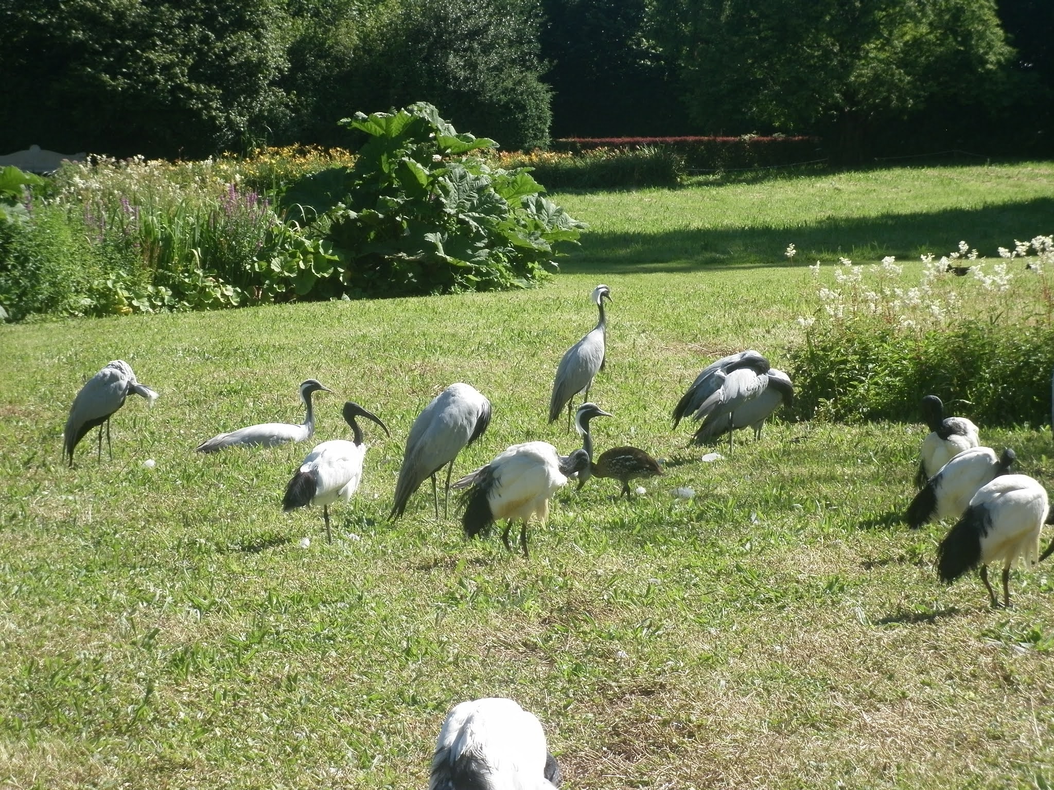 Photo n° 3 de l'avis de Psytrance.p fait le 06/06/2021 à 23:54