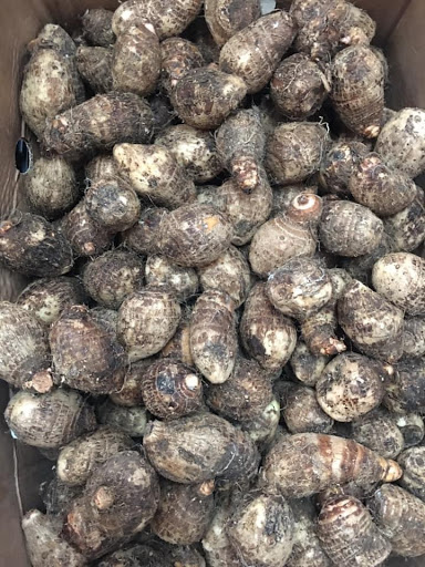 Asian Grocery Store «Asian Supermarket & Gifts Inc», reviews and photos, 4295 E Main St, Columbus, OH 43213, USA