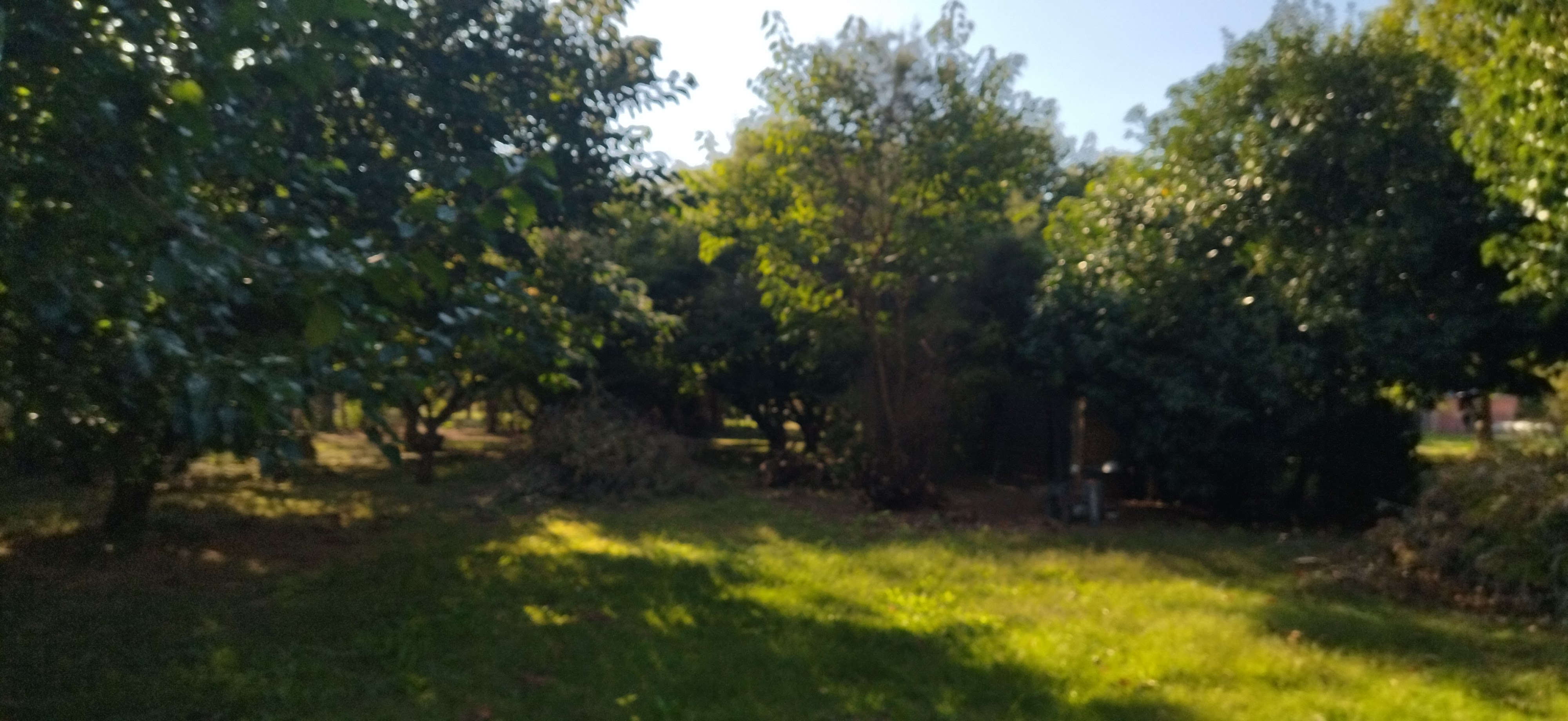 Photo n° 7 de l'avis de Agnes.a fait le 21/03/2023 à 19:06