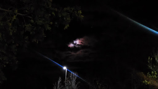 Movie Theater «Feather River Cinemas», reviews and photos, 2690 Feather River Blvd, Oroville, CA 95965, USA