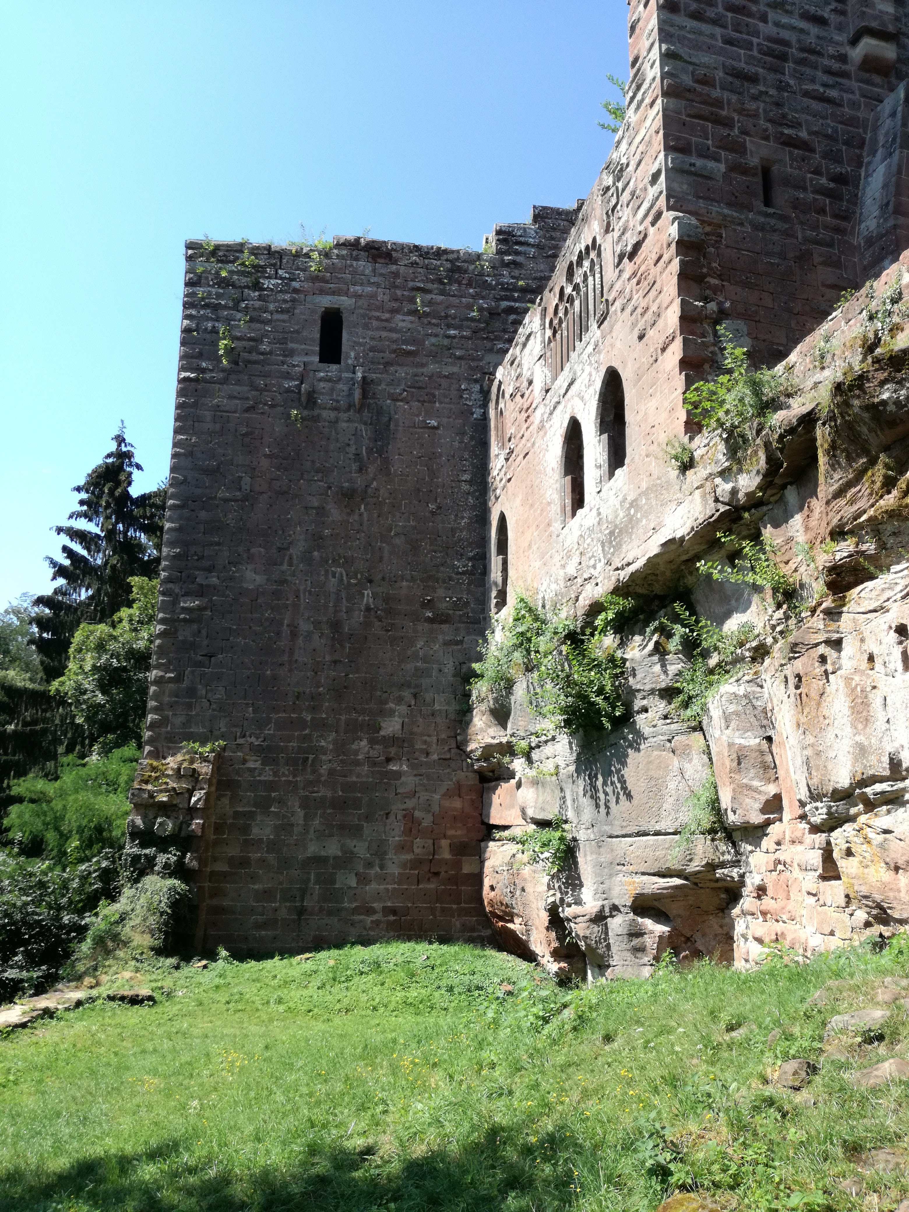 Photo n° 1 de l'avis de M..a fait le 16/07/2018 à 13:46