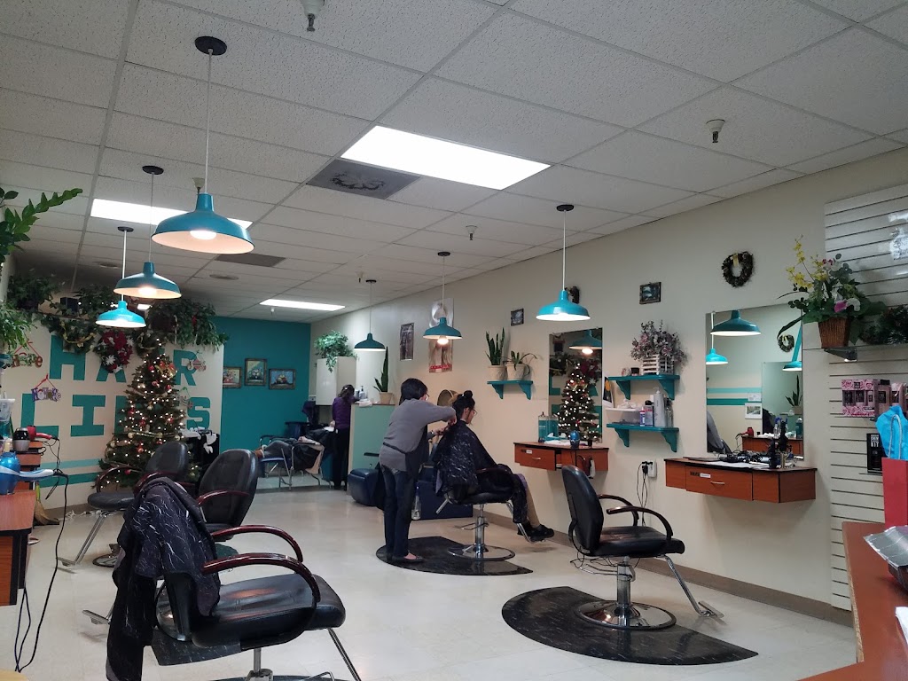 Hairlines 94509