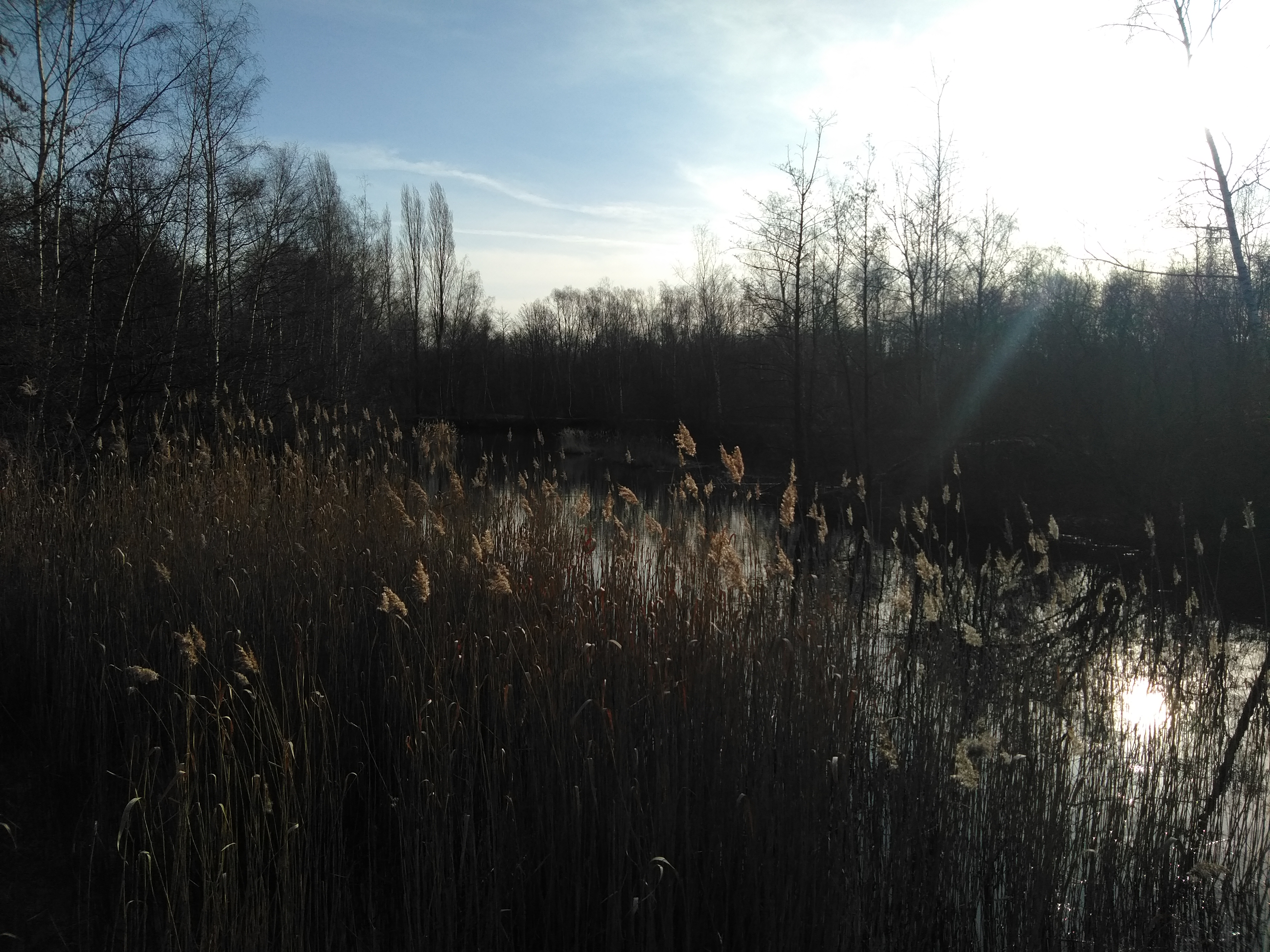 Photo n° 3 de l'avis de Christophe.h fait le 23/02/2021 à 17:37