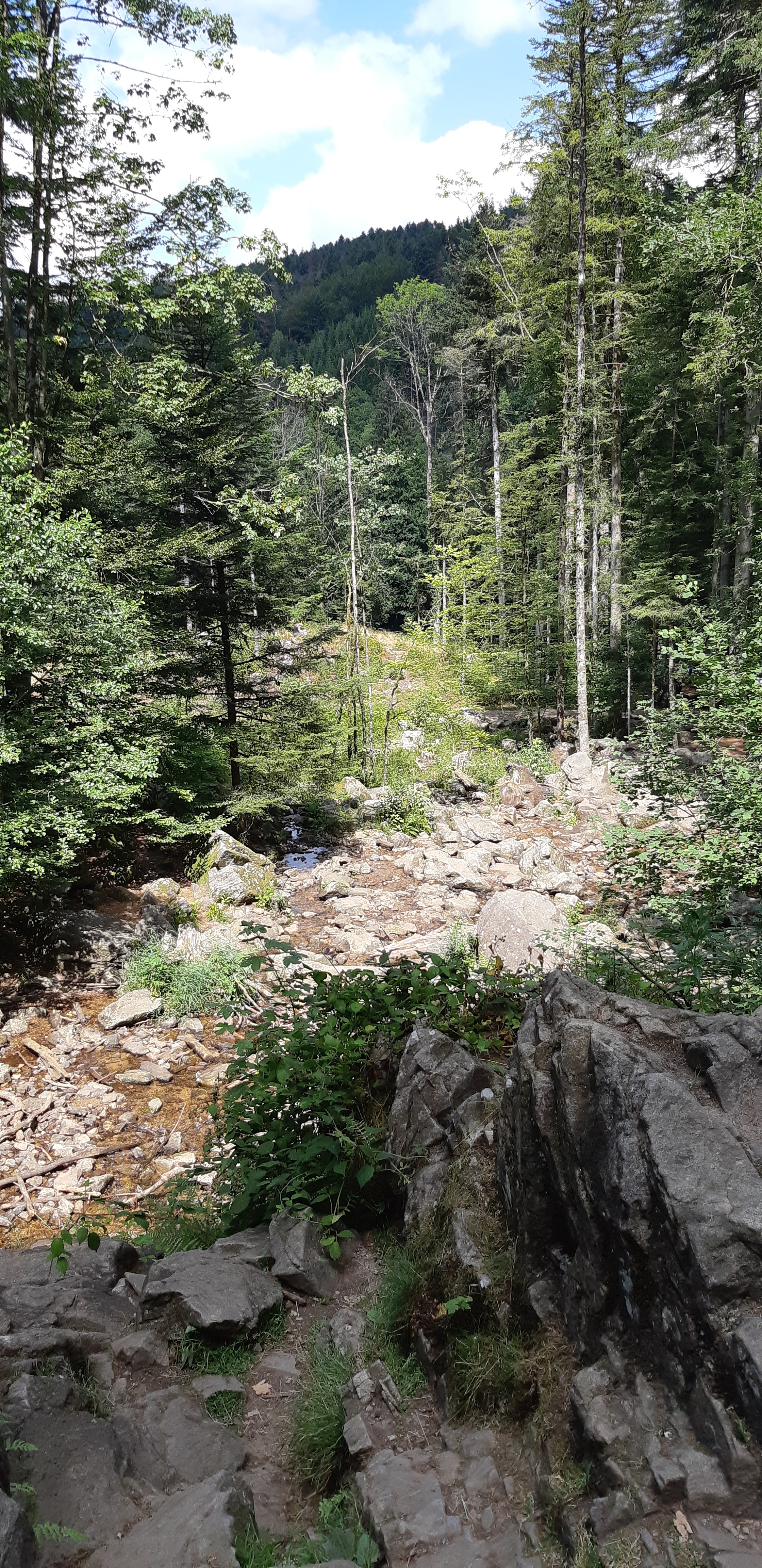 Photo n° 13 de l'avis de Anthony. fait le 03/08/2019 à 16:00