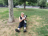 LIC Dog Walks and Puppy Love - Photo 6 - Car repair in , New York