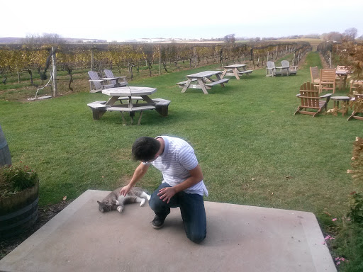 Winery «Palmer Vineyards», reviews and photos, 5120 Sound Ave, Riverhead, NY 11901, USA