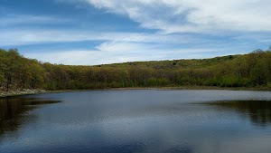 Huckleberry Ridge State Forest - photo 17