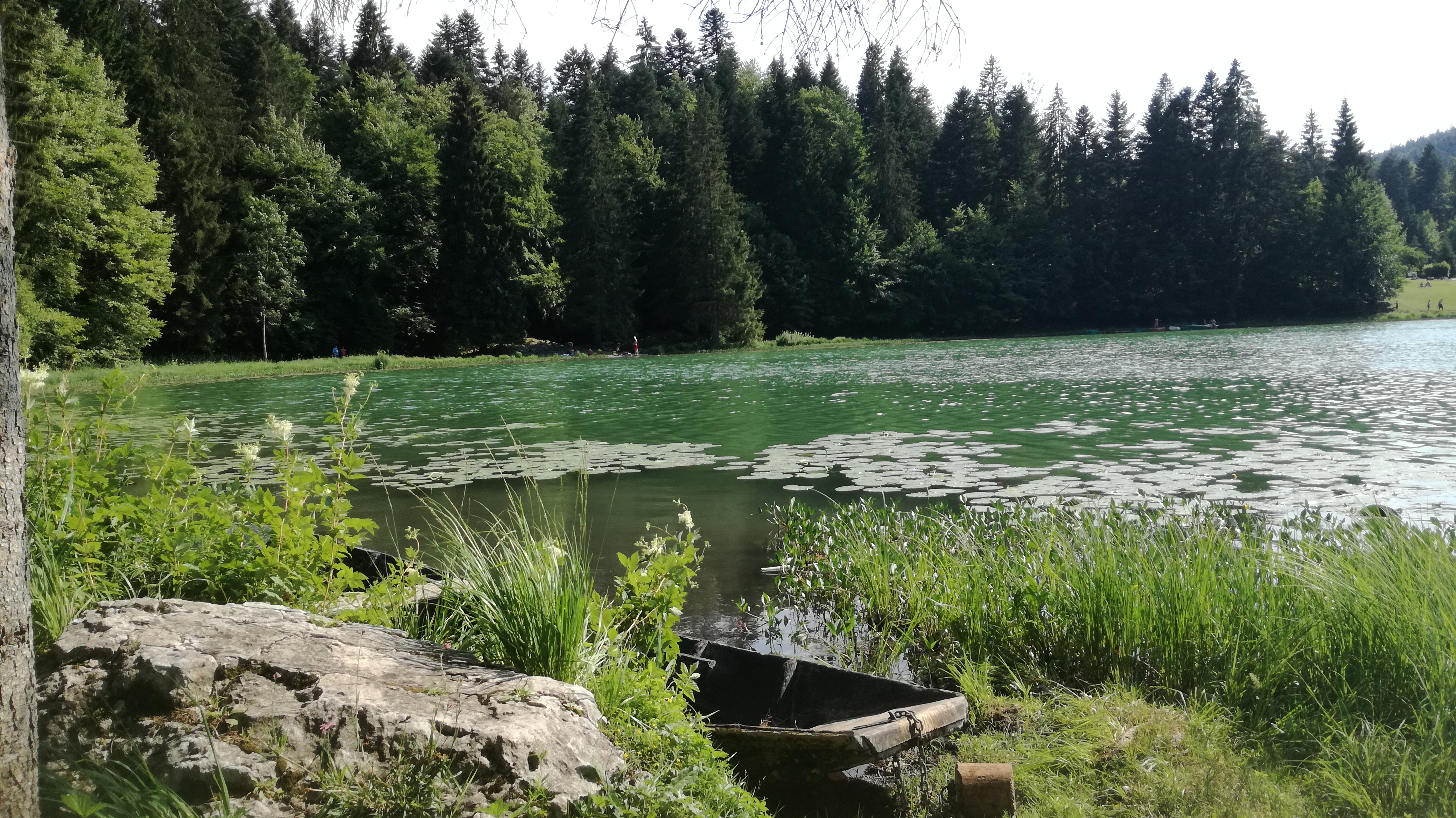 Photo n° 1 de l'avis de Coralie.o fait le 20/07/2018 à 06:31