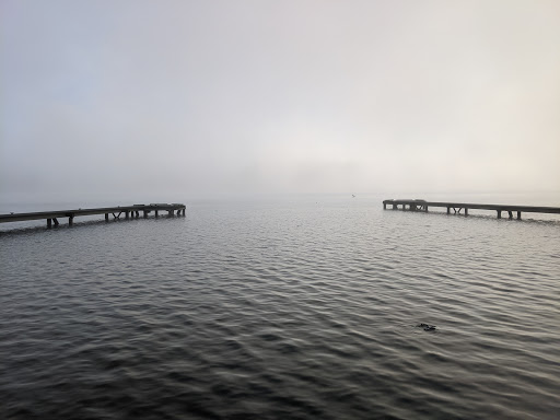 Park «Luther Burbank Park», reviews and photos, 2040 84th Ave SE, Mercer Island, WA 98040, USA