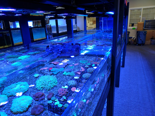 Tropical Fish Store «All Things Aquariums», reviews and photos, 30789 SW Boones Ferry Rd k, Wilsonville, OR 97070, USA