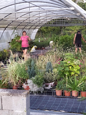 LES JARDINS DU BOCAGE - HORTICULTEUR - PEPINIERISTE à Montbrun-Bocage