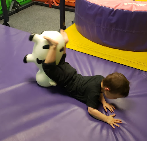 Gymnastics Center «Gold Medal Gymnastics», reviews and photos, 1700 E Elliot Rd, Tempe, AZ 85284, USA