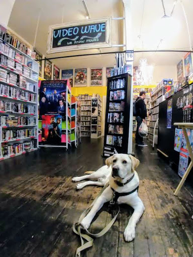 Movie Rental Store «Video Wave Of Noe Valley», reviews and photos, 4027 24th St, San Francisco, CA 94114, USA